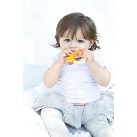 5x Silicone BPA Free Fruit Shape Baby Teething Toys