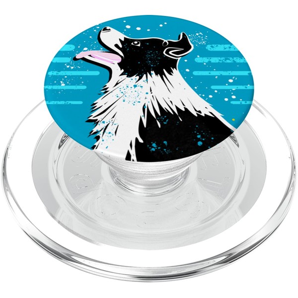 Sheep Dog or Herding Dog with Ball A Cute Border