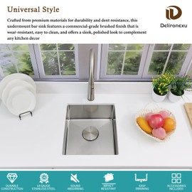 16 Inch Bar Sink Undermount, Delironexu 16x18 Small Bar Sink, 18 Gauge Small Stainless Steel Sink, Wet Bar Sink with Accessories