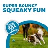 Outward Hound Squeaker Ballz Fetch Dog Toy, Small- 4 Pack