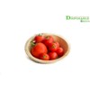DISPOSABLE GREEN® | Round Bowls | Various Sizes | COMPOSTABLE,