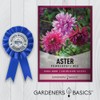Aster Powderpuff Mix Flower Seeds