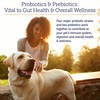 Rx Vitamins Rx Vitamins Rx Biotic - Probiotic Powder for
