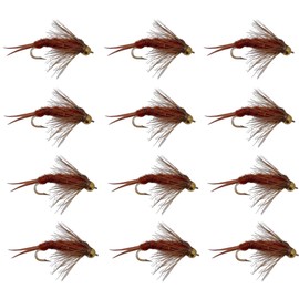 Feeder Creek Moscas de pesca con mosca | Cabeza de abalorio y ninfas de mosca de piedra regulares | 12 señuelos húmedos | Moscas de trucha y lubina | Surtido de pesca con mosca (cabeza de abalorio