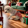Dog and Cat Sweater, Soft Turtleneck Pullover Vest for Autumn