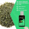 Nature Max Green Tea Oil Pure & Natural Cold Pressed