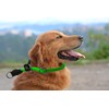 Aiminto Braided Rope Collar, Training Dog Collar, Round Martingale Collar,