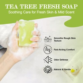 Tea Tree Oil Soap- Natural Body & Face Wash for Acne, Body Odor, Skin Care, Tea Tree Soap Bar for Men, Women (5Bars x 2.29oz)