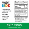 BIORAY BIORAY Kids NDF Focus, Citrus - 2 fl oz