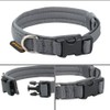 Excellent Elite Spanker Dog Collar for Small Dogs, Nylon, Super