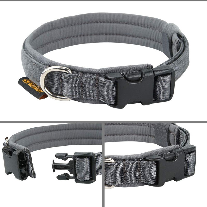 Excellent Elite Spanker Dog Collar for Small Dogs, Nylon, Super