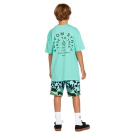 Volcom Boys' Mod Tech Boardshorts, Poison Green