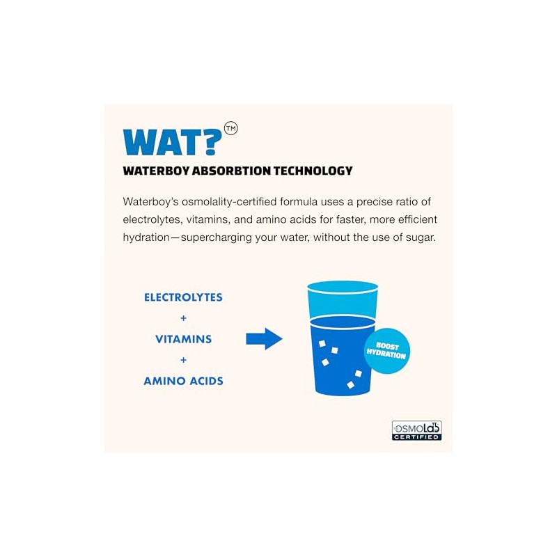 Waterboy Hidratación Entrenamiento Paquetes Polvo Electrolitos Azúcar 960mg Lglutamina Vitaminas