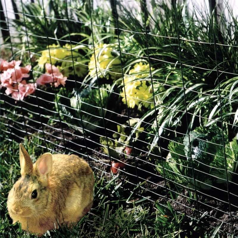 YARDGARD 308371B 14 Gauge Rabbit and Small Animal, 28 Inch