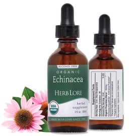 Herb Lore Organic Echinacea Tincture Drops for Kids & Adults – USDA Organic Liquid Echinacea Angustifolia & Purpurea Root Extract – Alcohol-Free Immune Support (2 fl oz)