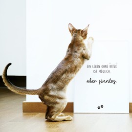 Donari ® Poster with Cats Sayings in A4 without Frame • Wall Decoration in Black White for Living Room & Bedroom • Gift for Pet Owners (A4, Cat - Life)