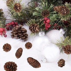 Jangostor 40 PCS Christmas Pine Cones Natural Pine Cones Like a Peak Tower Pine Cone Christmas Tree Decorations for Home Party Crafts Gift Wedding Christmas Tree Winter Decoration