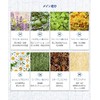 Celluver Foaming Hand Wash, Orange Scent, Plant-Derived Beauty Ingredients, Weak