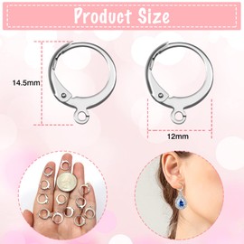 Toaob 50 Pieces Stainless Steel Lever Back Ear Hooks French Earring Hooks 14.5 mm for Jewellery Making