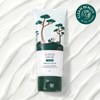 Round Wrap for Men Pine Soothing Cica Cream 75ml /