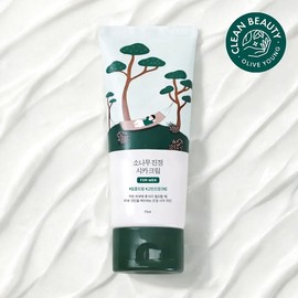 Round Wrap for Men Pine Soothing Cica Cream 75ml / 라운드랩 포 맨 소나무 진정 시카 크림 75ml