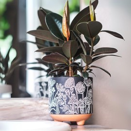 2 Terracotta Mushroom Planters | 5 and 3 inch | Clay Flower Pot with Drainage | Artisan Pots for Cacti & Houseplants (Raven Black)