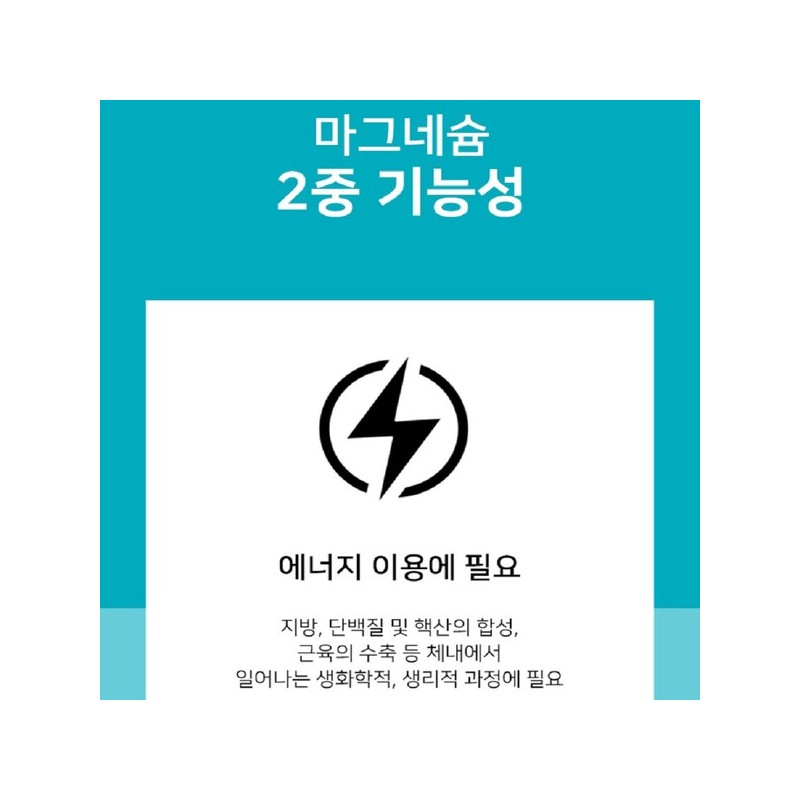 위드 산화 마그네슘 정 부족 근육 약4달분 영양제 With Magnesium