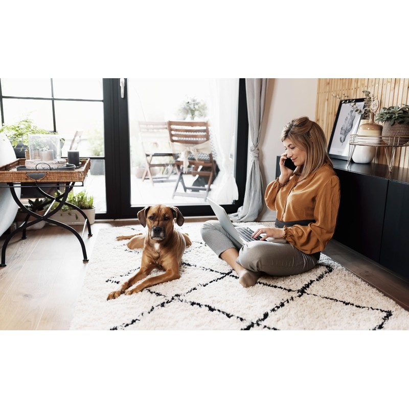 BACK BODYGUARD Back Strap - Innovative Lumbar Support - Back