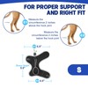 Dog Knuckling Brace Wrap for Hyperflexion of Phalanges Cause by