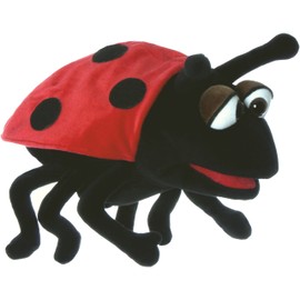 Hubi the Ladybird