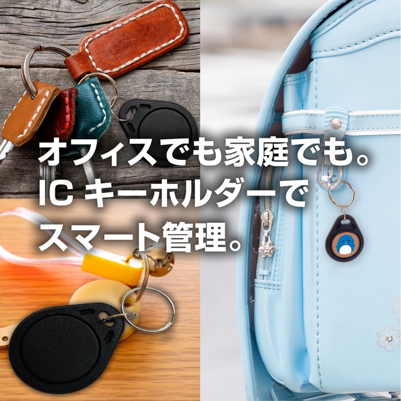 Dennett FeliCa IC Keychain, Set of 10, Ferrica Lite-S