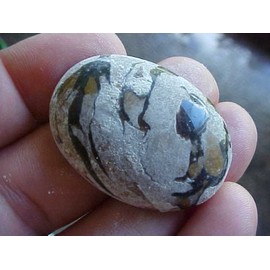 E0216 Indonesia Petrified Wood Agate Banded Jasper Oval Cab !!