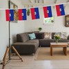 32FT Small Haiti Pennant Flag Bunting,30 PCS Mini String Banner