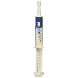 Probiocin Oral Gel 15gm Syringe