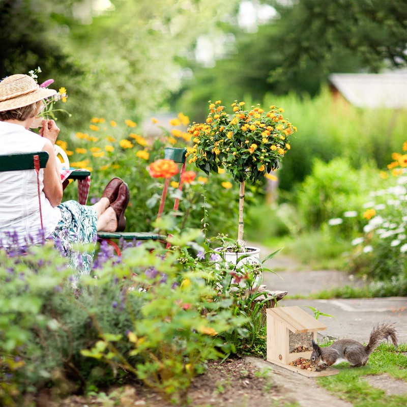 Relaxdays Squirrel Feeder for Placing, Wood, Weather-Resistant, HxWxD: ca 17.5