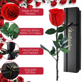 Ruibinlee Infinity Rose Mother's Day Gift for Mum, Eternal Rose Gifts for Mum, Women, Girlfriend, Mother-in-law, Sister Gift, Mother's Day Birthday Gift, Preserved Rose in Gift Box