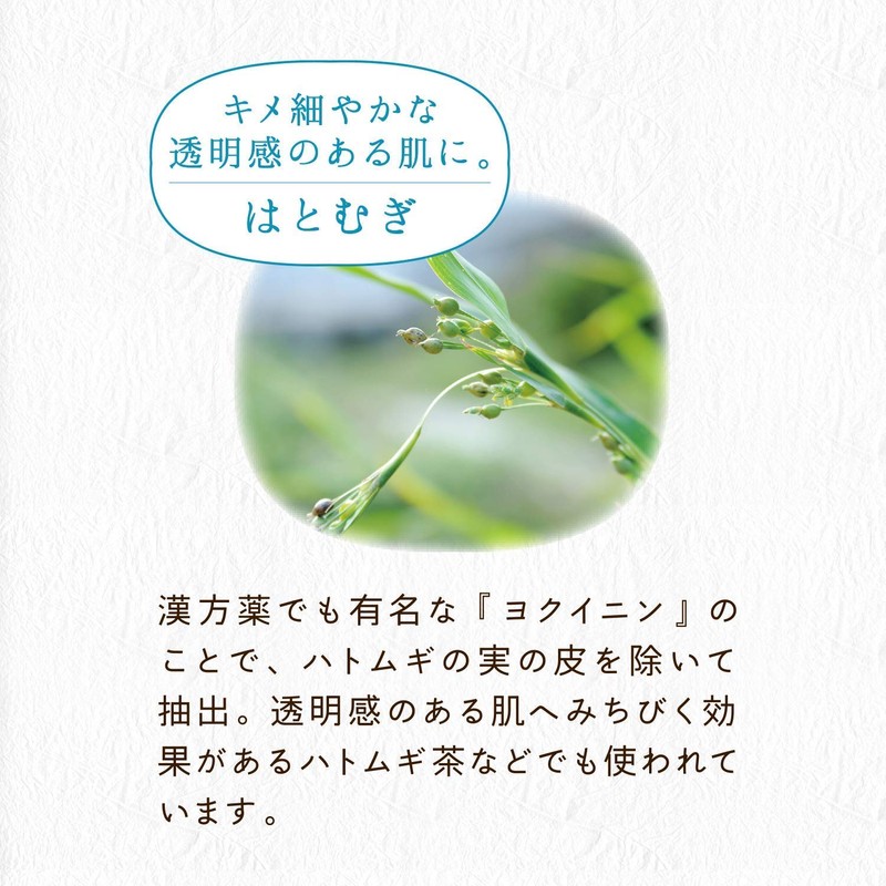 Clear Turn Bihada Artisan Hayatsugi Face Mask, 30 Pieces, Large