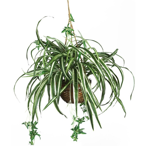 Nearly Natural 6607 Spider Hanging Basket Decorative Silk Plant, Green,10.25" x 10.25" x 17.5"
