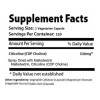 Citicolina Choline 530mg (120 Cápsulas) Absonutrix Sabor Sin Sabor