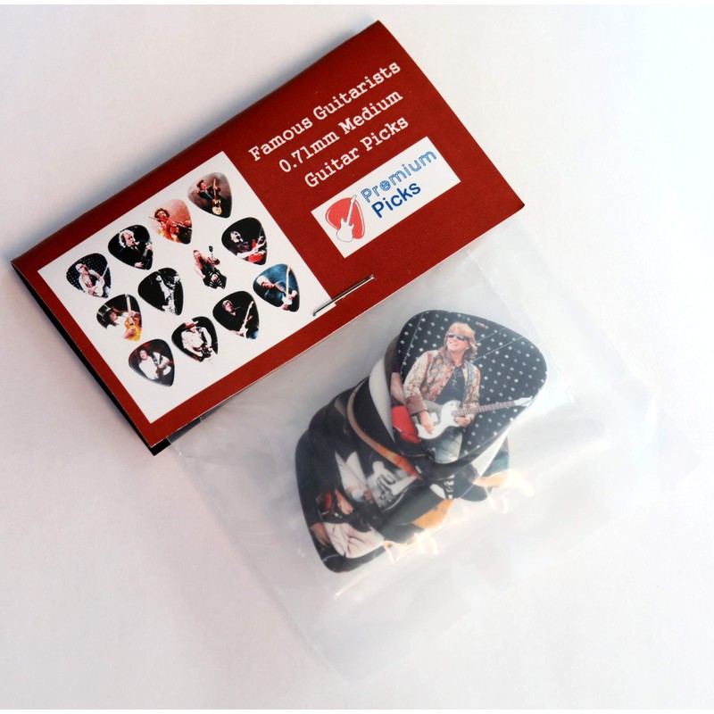 Guitar Heroes Guitar Picks Set of 12 Famous Guitarist Plectrums