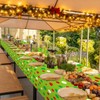 party greeting Christmas Tablecloth Roll 51inch x 100ft Christmas Polka