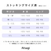 Atsugi FP3501 Women's Stockings, Formal Wear, Black Stockings, Set of