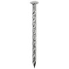 DAIDOHANT 10186687 Stainless Steel Round Head Power Screw Nails (Body