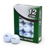 Second Chance Lake Golf Balls - 12 Assorted Recycled Grade