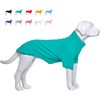 Lovelonglong Dog Pullover Sweatshirt Autumn Winter Cold Weather Dog T-Shirts