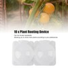 10Pcs 12cm Plant Rooting Device High Pressure Propagation Ball Grafting