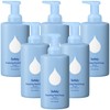Safely Foaming Hand Soap 10oz Fresh - 6 pack