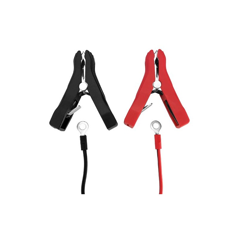 6V - 12V Smart Charger for Rhino SLA17-12 - 2