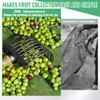 Fruit Collector Harvesting Net - 26.2 x13.1 ft Green Agricultural