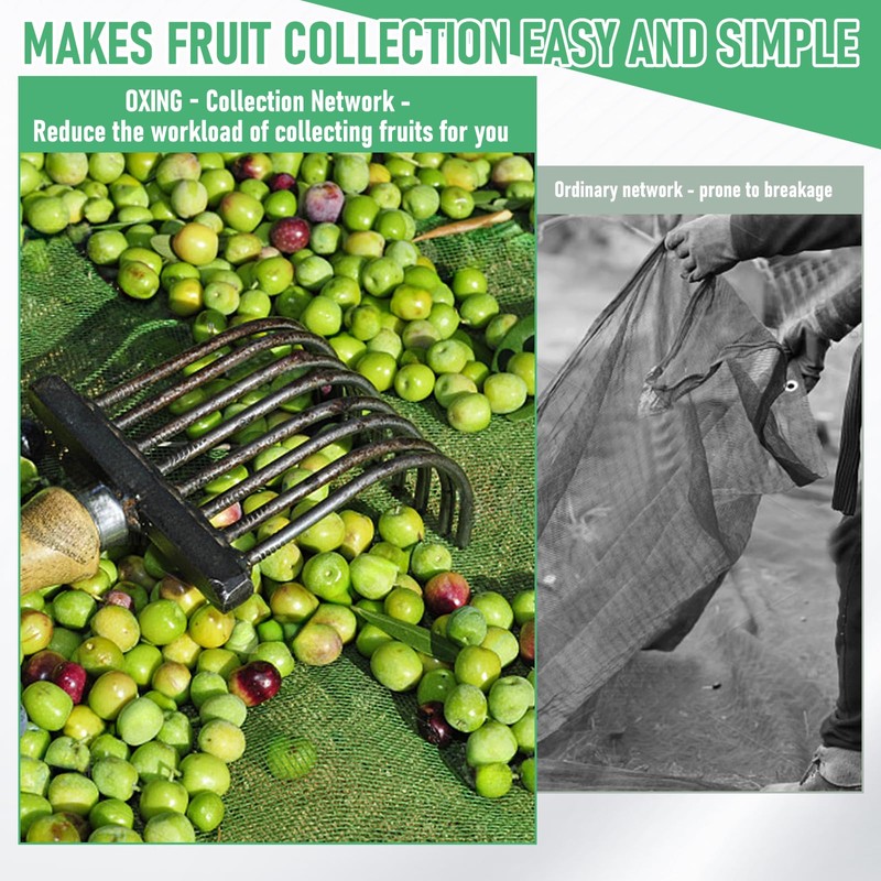 Fruit Collector Harvesting Net - 26.2 x13.1 ft Green Agricultural